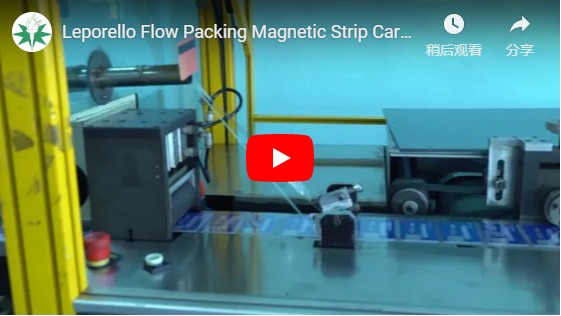 Leporelo Flow Packing magnetics Card 2